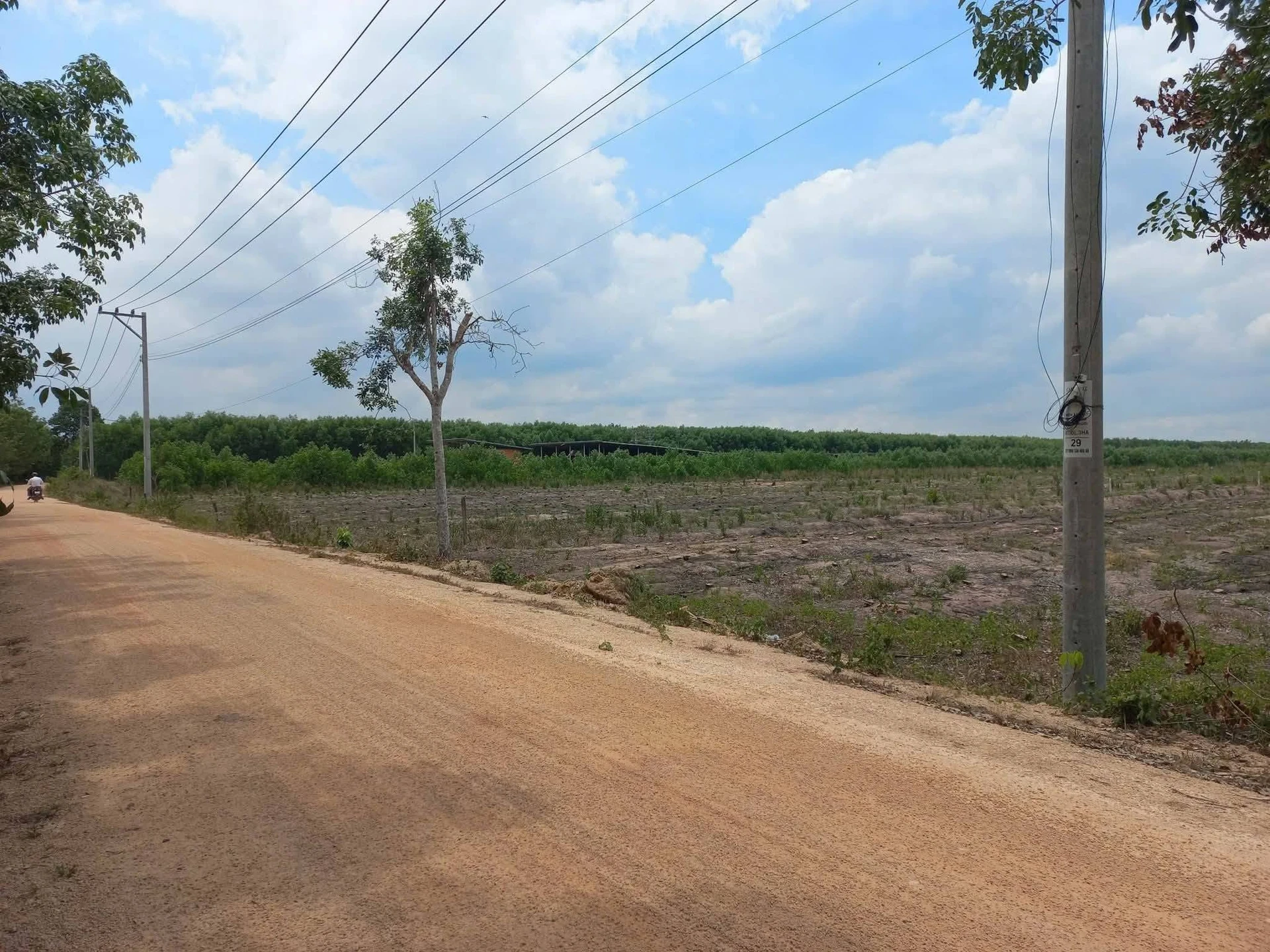 Bán 2ha đất nền Trà Tân, Lâm Đồng, giáp Đồng Nai - Ảnh 1