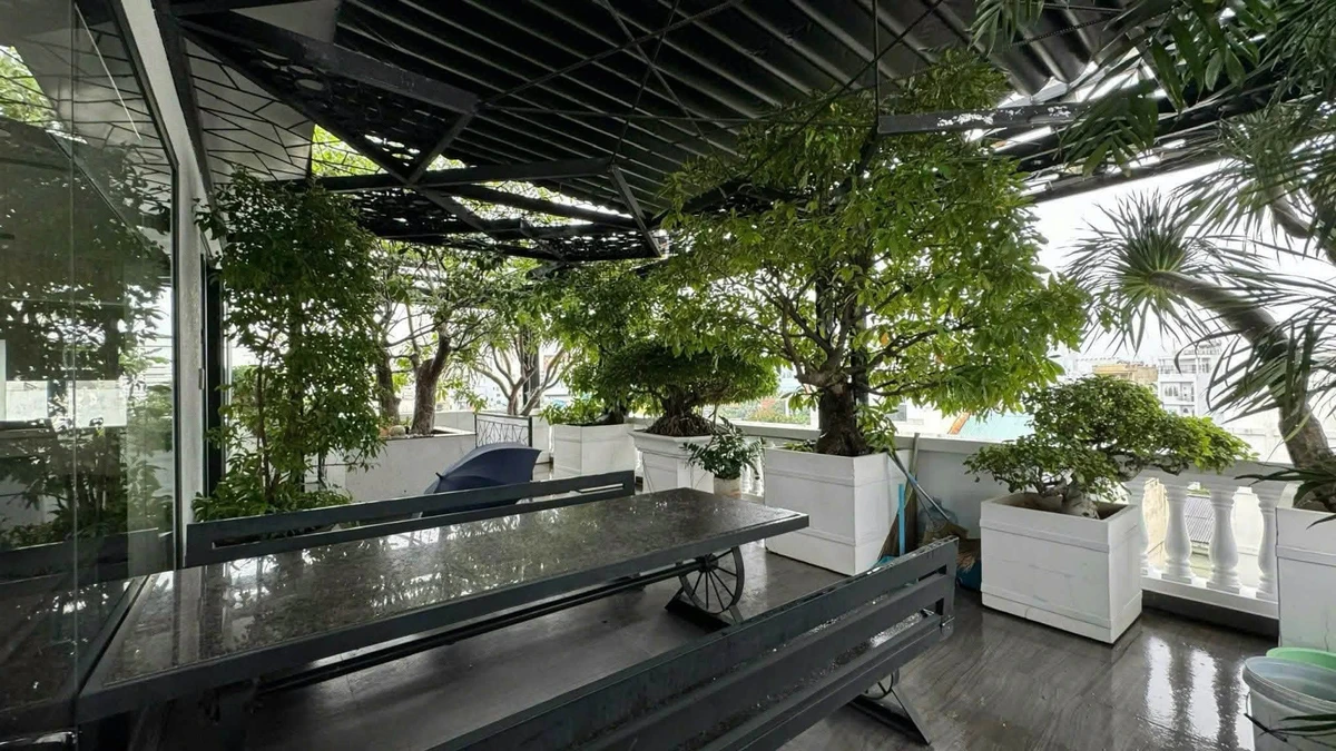 Bán khách sạn 242,2 m² Nguyễn Văn Trỗi, Phú Nhuận, giá 90 tỷ - Ảnh thu nhỏ 4