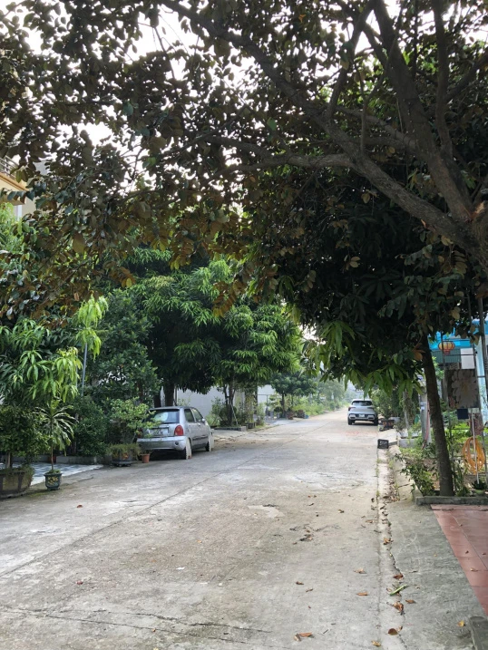 Phân lô Bích Đào 75m2 MT 5m | Vỉa hè, hành lang thông gió | Chỉ 2,85 tỷ - Ảnh thu nhỏ 2