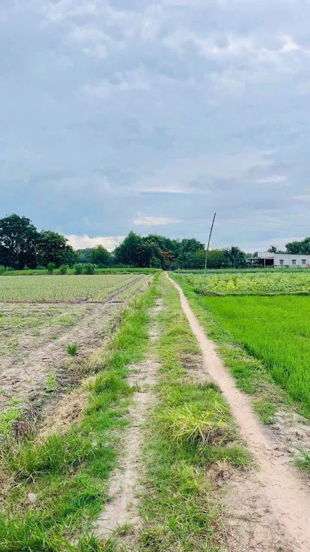 Bán nhà 3 tầng 41,6m2 ngõ Điện Biên Phủ, TP Hải Dương giá 2,98 tỷ gia1ty890tr