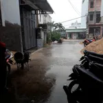 Bán lô đất ô tô tới nơi 40m² Nhà Bè 1,95 tỷ - Ảnh thu nhỏ 4
