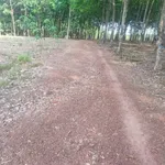 Bán đất cao su non mặt tiền Đường Bao La, Bình Chánh, 70.000 m², 1 tỷ 2 - Ảnh thu nhỏ 1