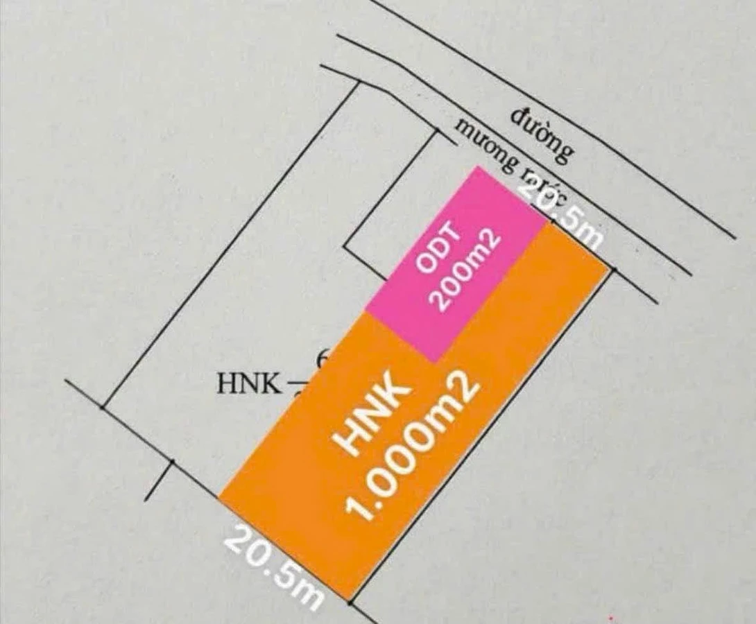 Bán 1.200m² đất thổ cư và cây trồng Bình Thuận - Ảnh thu nhỏ 2