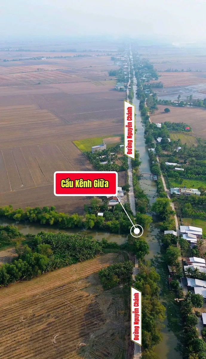 Bán đất ruộng 11.715m² Nguyễn Chánh, An Giang - Ảnh thu nhỏ 3