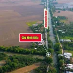 Bán đất ruộng 11.715m² Nguyễn Chánh, An Giang - Ảnh thu nhỏ 3