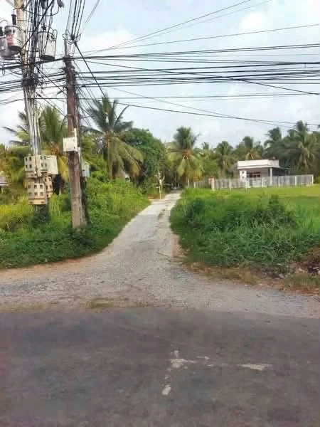 Bán đất Phú Nhuận, Bến Tre, 400m² ngang 9,2m - Ảnh thu nhỏ 4