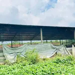 Bán trại heo 10.000m² Dầu Giây, Đồng Nai, 6,3 tỷ - Ảnh thu nhỏ 5