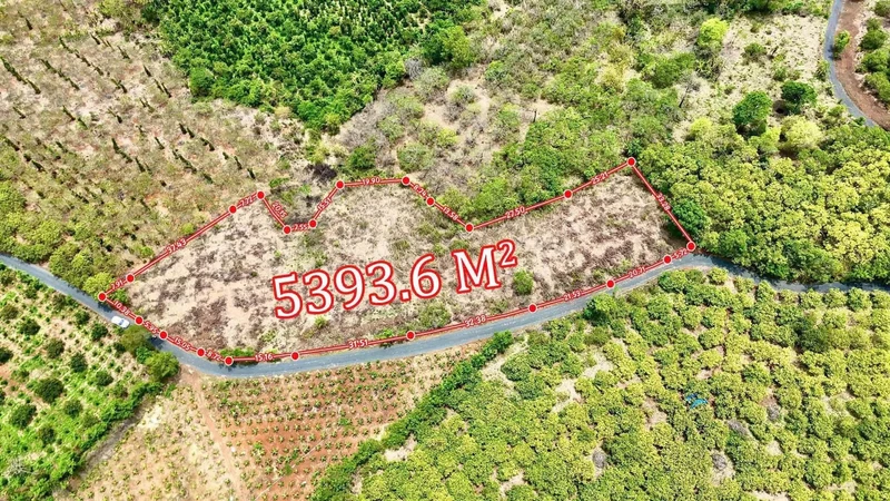 Bán đất 5.393 m2 mặt tiền 167m Đắk Lắk
