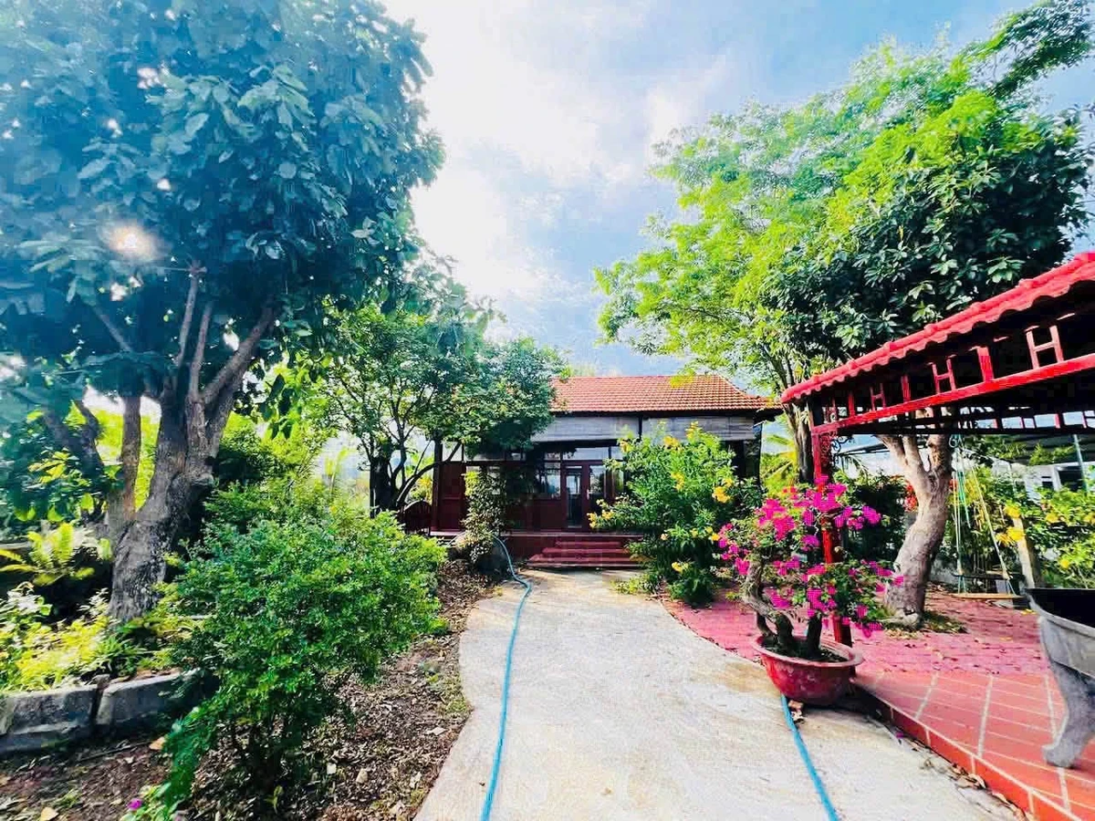 Bán nhà vườn 1.333m² Thôn 5 Hàm Liêm 1tỷ 600tr - Ảnh thu nhỏ 5