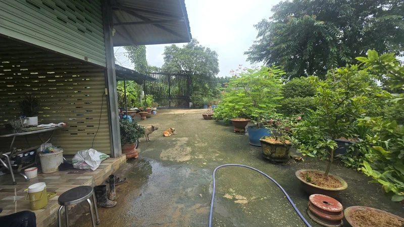 Bán đất vườn mai 19.718m2, 16 sổ hồng, giá 24 tỷ tại Tân Triều, Đồng Nai