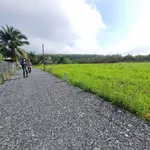 Bán đất 5x32m gần KCN Phước Đông, Tây Ninh, 3xx triệu - Ảnh thu nhỏ 2