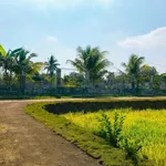 Bán đất nền 1000m² view cánh đồng tại Cư M'gar 699 triệu - Ảnh thu nhỏ 2