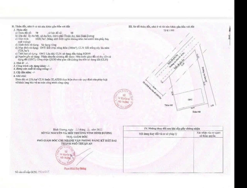 Bán đất lô góc 1028m² An Sơn Thuận An Bình Dương 12 tỷ