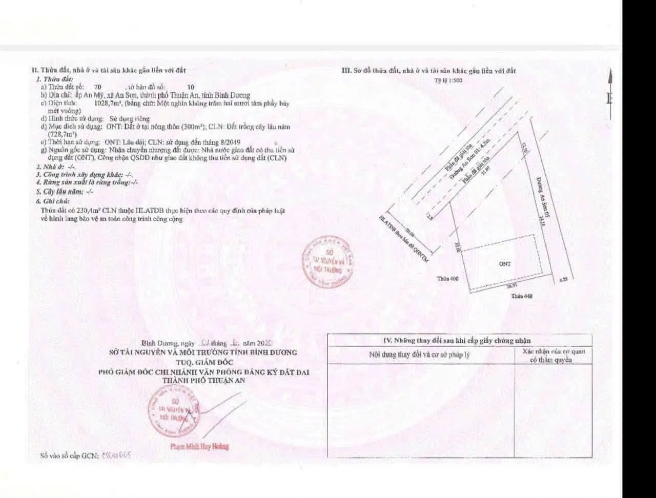 Bán đất lô góc 1028m² An Sơn Thuận An Bình Dương 12 tỷ - Ảnh 1
