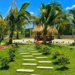 Bán nhà vườn 1.600m² Hàm Chính, Bình Thuận, gần Phan Thiết - Ảnh thu nhỏ 4