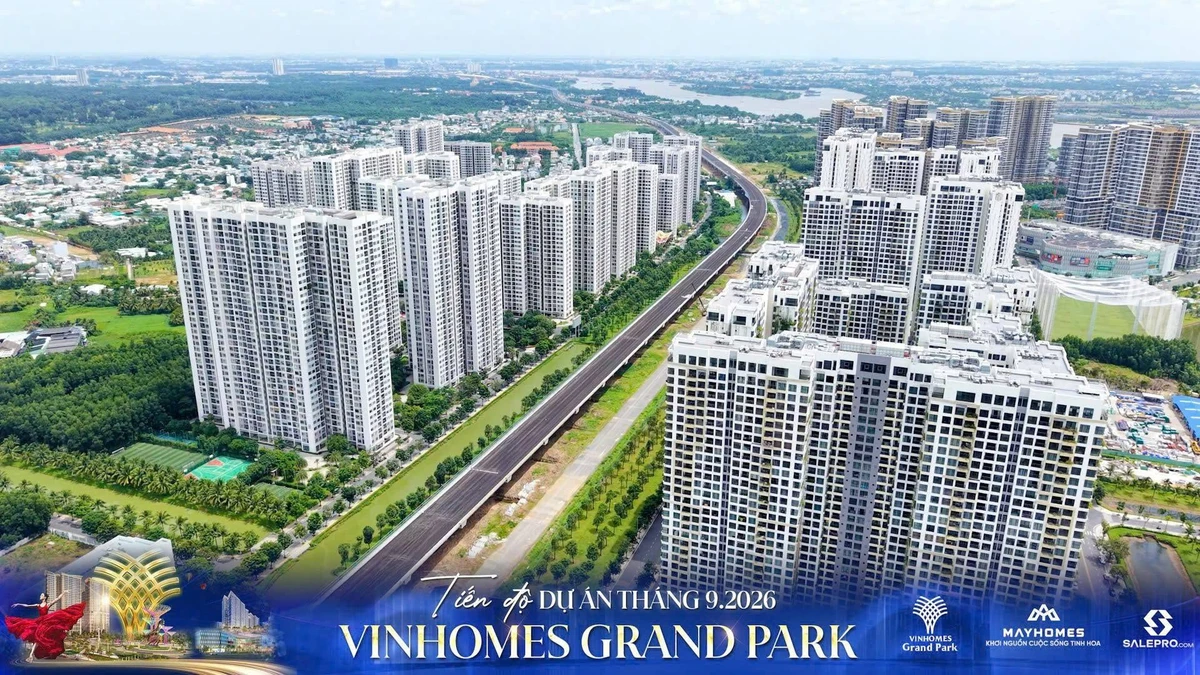 Bán căn hộ 3PN 82,3m² The Beverly Solari, Vinhomes Grand Park - Ảnh thu nhỏ 5