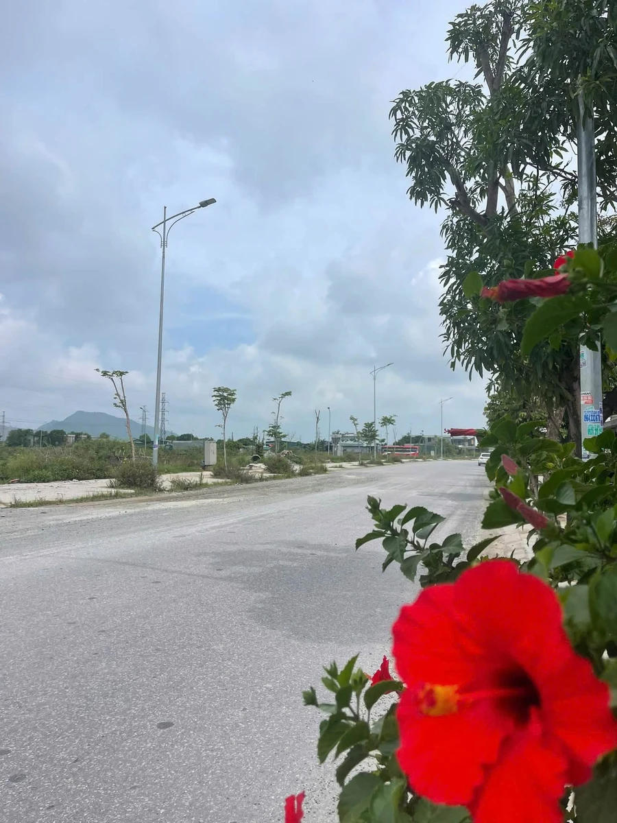 Bán đất kinh doanh Nguyễn Trường Tộ Tp Vinh, 191m², 7,6 tỷ - Ảnh thu nhỏ 4