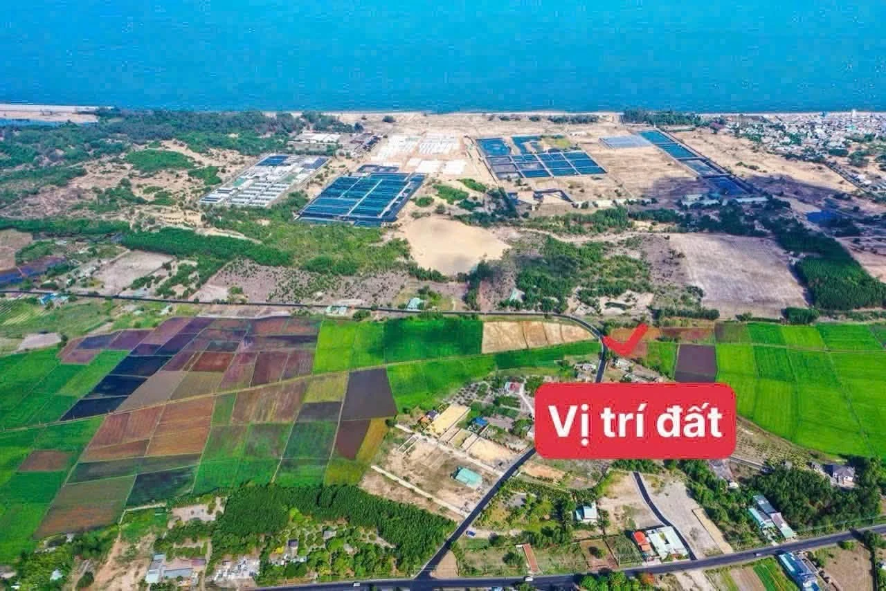 Bán đất 557m2 gần biển Phước Hải 2 tỷ 350 - Ảnh 1