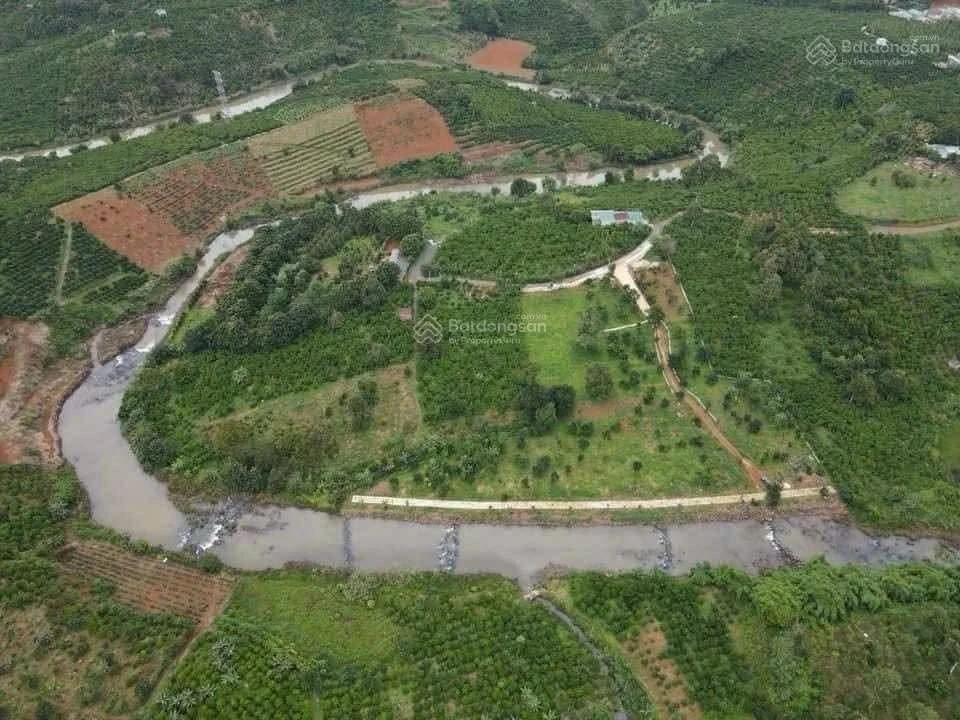 Bán đất nền 9.600m² ven sông Đại Nga Bảo Lộc 16 tỷ - Ảnh thu nhỏ 2