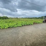 Bán đất 3023 m2 Tây Ninh 450 triệu/1000 m2 - Ảnh thu nhỏ 3