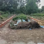 Bán đất mặt tiền Mạc Đĩnh Chi Tân An 165m² 1 tỷ 3 - Ảnh thu nhỏ 1