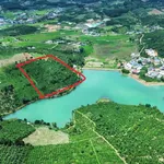Bán đất nông nghiệp 2 hectare tại Bắc Gia Nghĩa, Lâm Đồng - Ảnh thu nhỏ 4