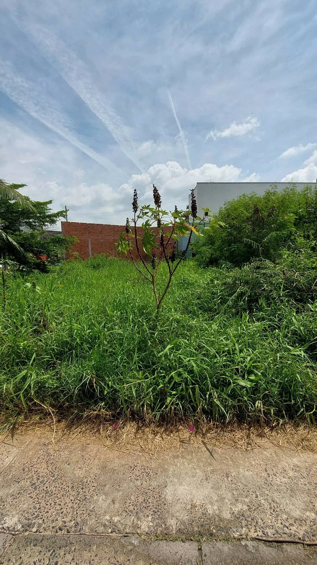 Bán lô đất 120.5m2 Phan Thiết, sổ hồng riêng - Ảnh 1