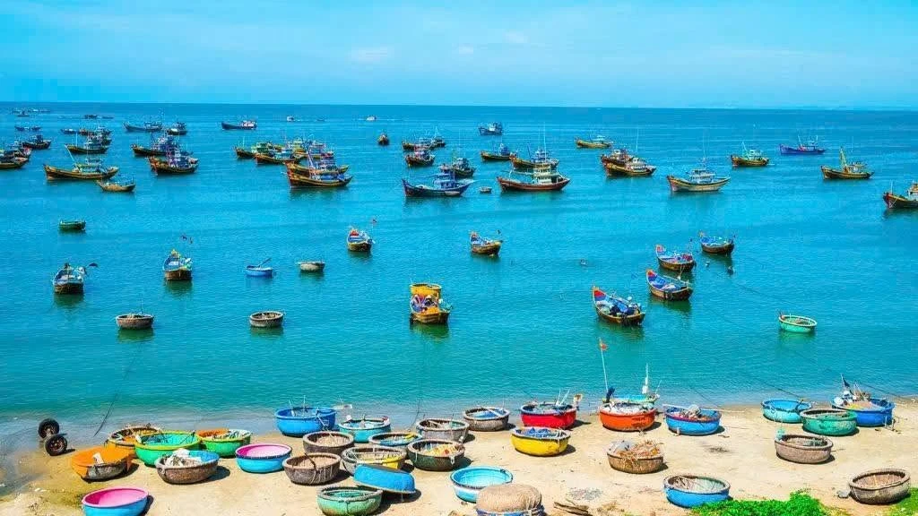 Bán đất 100.000m2 hai mặt tiền đường nhựa và biển tại Tuy Phong, Bình Thuận - Ảnh thu nhỏ 2