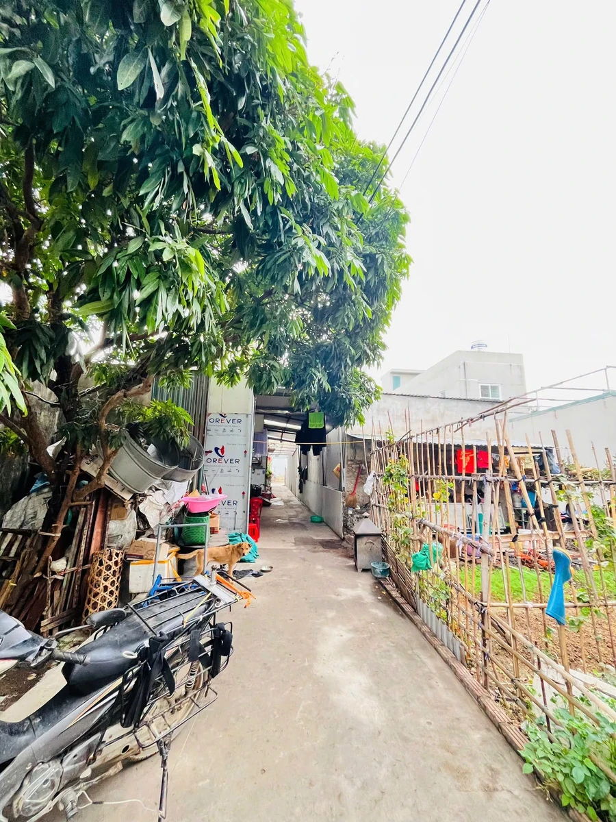 Bán đất góc 47m² Khu 1 Nhị Châu Hải Dương chỉ 8xx triệu - Ảnh thu nhỏ 5
