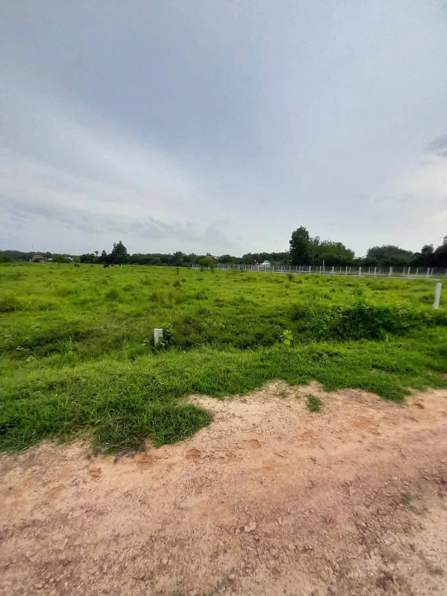 Bán lô đất 1000m² tại An Cơ, Châu Thành, Tây Ninh, giá 190 triệu - Ảnh thu nhỏ 3