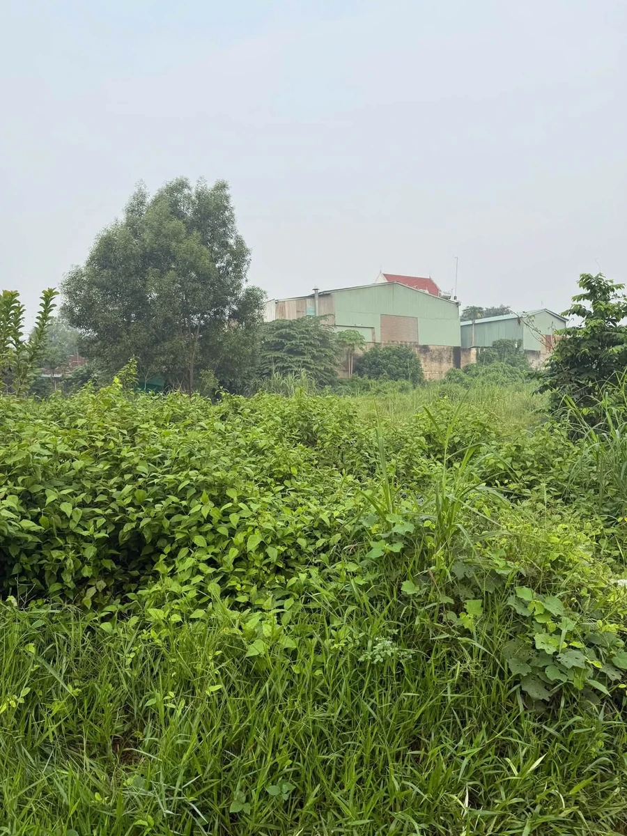 Bán đất 2751m2 tại Thới Hoà, Bến Cát, Bình Dương - Ảnh thu nhỏ 2