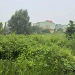Bán đất 2751m2 tại Thới Hoà, Bến Cát, Bình Dương - Ảnh thu nhỏ 2