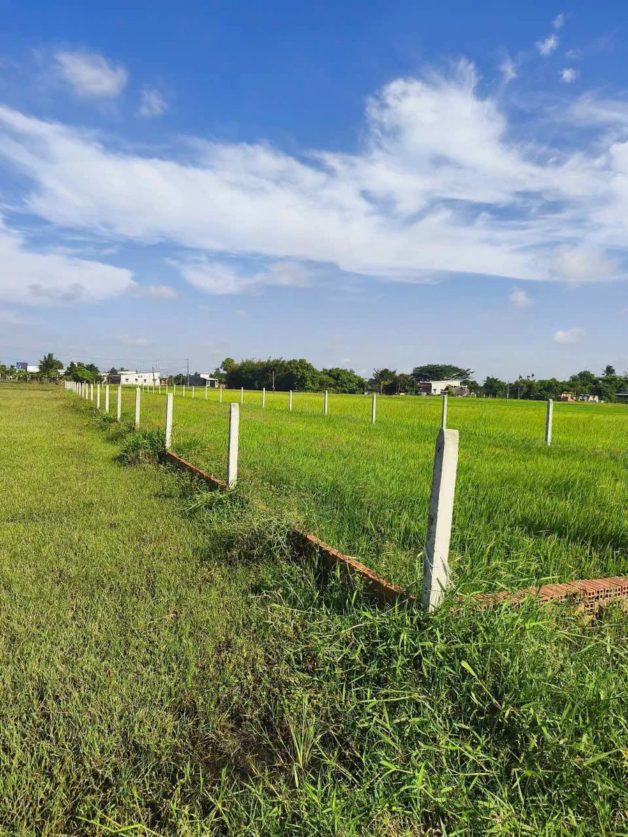 Bán đất 872m² Đức Hòa, Long An giá 3 tỷ - Ảnh thu nhỏ 3