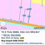 Bán 1.258m² đất lúa có 300m² thổ cư Mỹ Lệ, Tây Ninh - Ảnh thu nhỏ 1