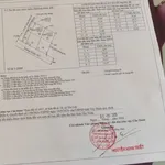 Bán đất thổ cư mặt tiền 450m² Cần Đước Long An - Ảnh thu nhỏ 5