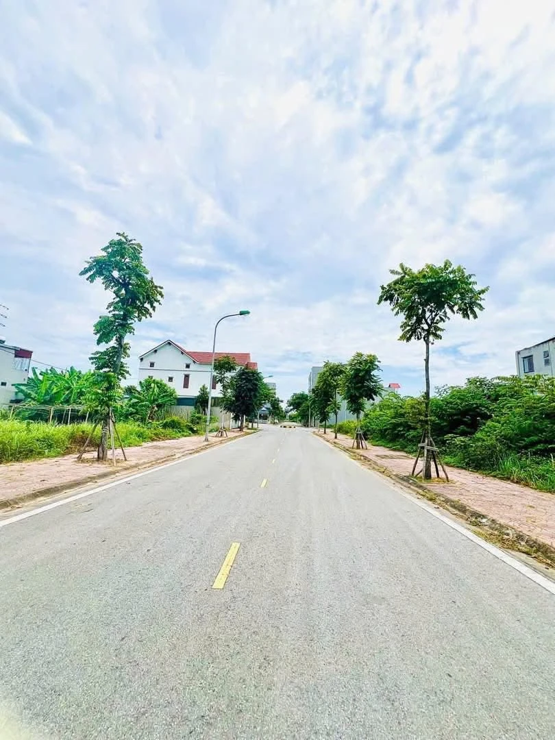 Bán đất KĐT Ford Tứ Minh 67.5m2, giá 2.2 tỷ - Ảnh thu nhỏ 2