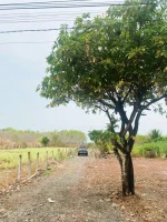 Đất đẹp huyện Buôn Đôn, Đắk Lắk 103.365m2 sổ đỏ chính chủ, vị trí trung tâm. Chỉ 15 tỷ. 0935 361 *** - Ảnh thu nhỏ 5