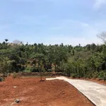 Bán đất 7 sào 1 mặt tiền gần sân bay Buôn Ma Thuột - Ảnh thu nhỏ 1