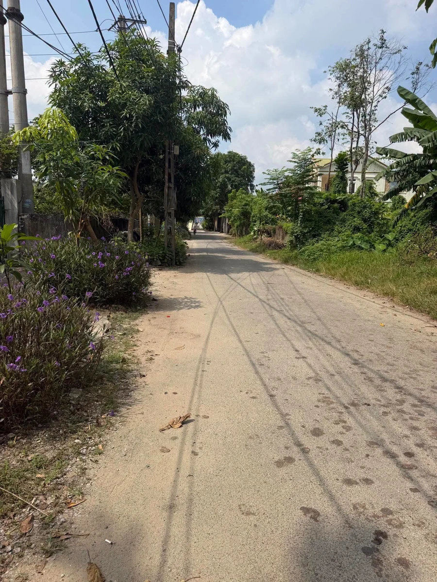 Bán lô đất mặt tiền Đinh Văn Chất, Nghệ An, 133m2, 2,1 tỷ - Ảnh thu nhỏ 3