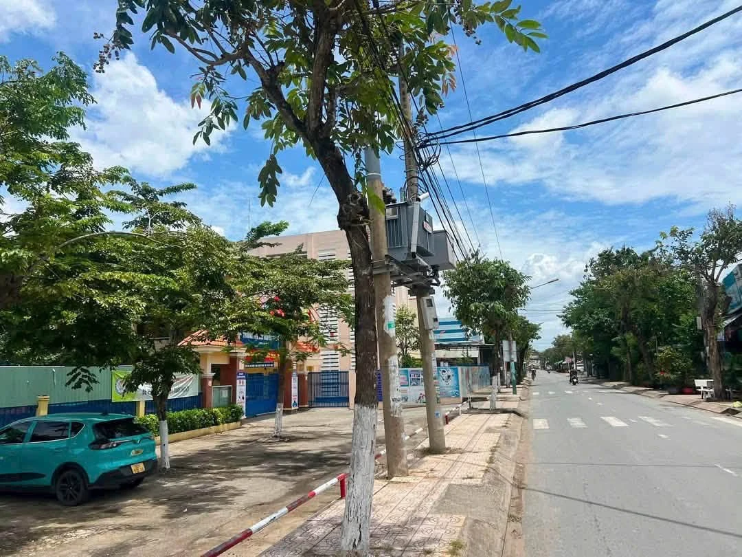 Bán 3 lô đất liền kề 143m2 Cần Giuộc - Ảnh thu nhỏ 5