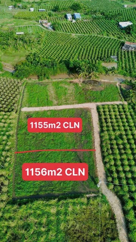 Bán đất 1155m2 gần Phan Thiết, 430 triệu