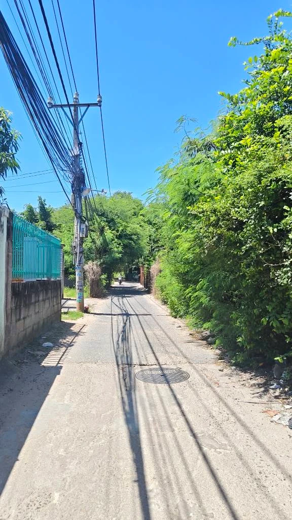 Bán đất Lê Thị Hồng Gấm 256m² ngang 9m Phan Thiết - Ảnh 1