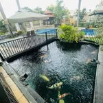Bán nhà resort 501m² Thảo Điền, Nguyễn Văn Hưởng - Ảnh thu nhỏ 1