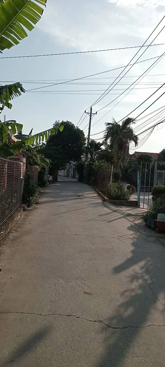 Bán lô đất thổ cư 11x30m có nhà cấp 4, gần Phạm Văn Diêu, Phường Tân Hạnh, Đồng Nai - Ảnh 1