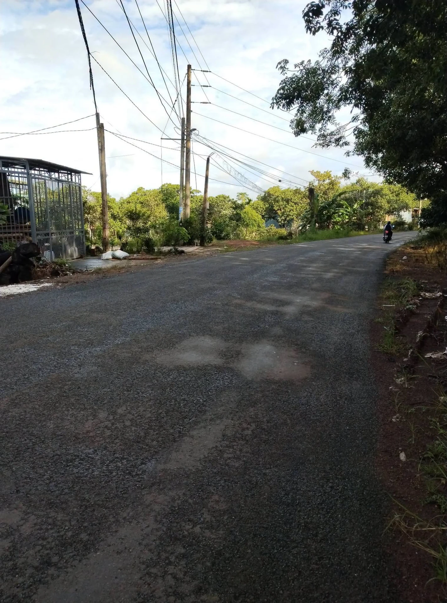 Bán đất 10x50m, 200m2 thổ cư, giá 900 triệu gần chợ Cây Điệp, Tân Phước, Đồng Phú - Ảnh 1