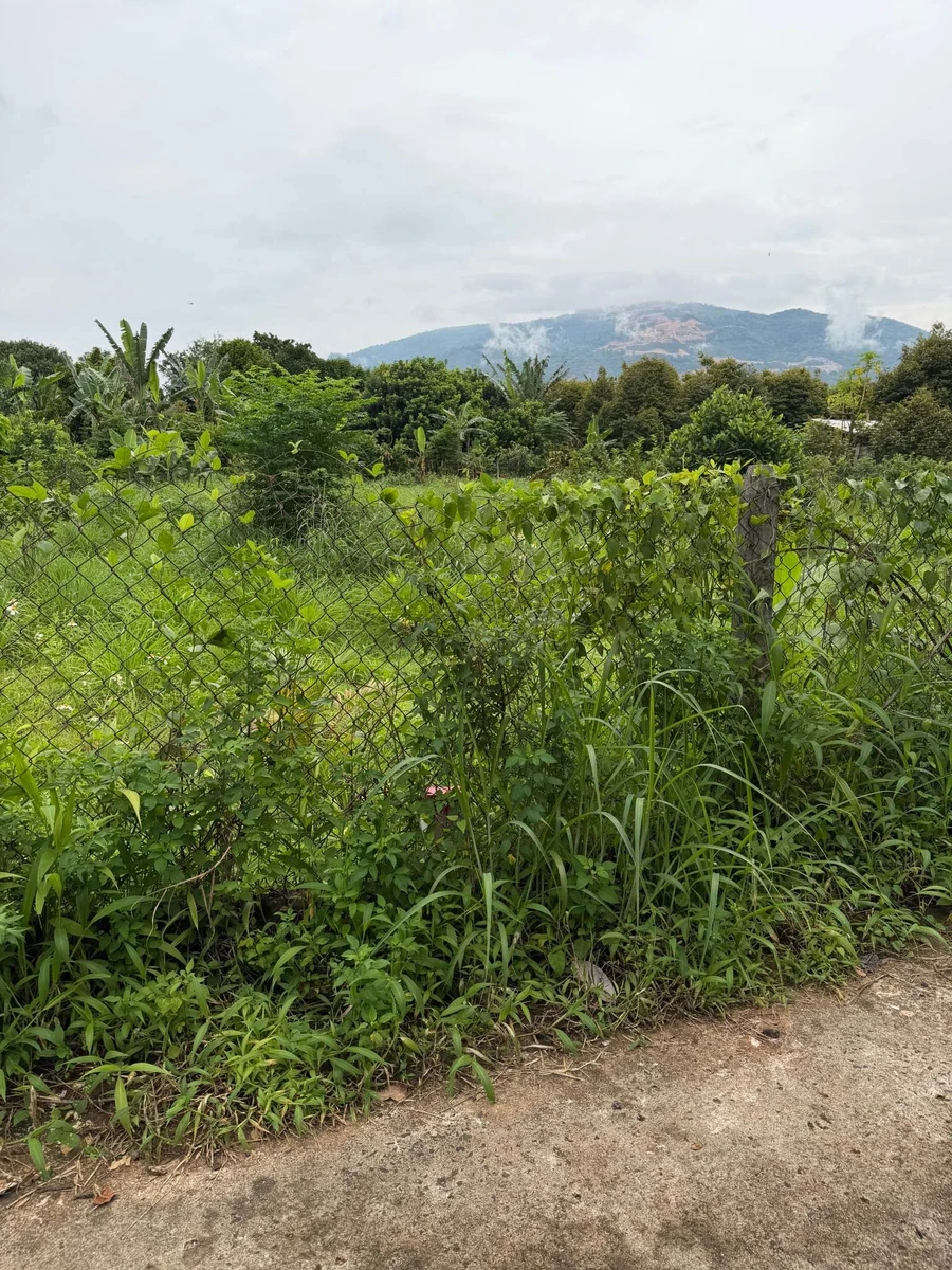 Bán đất Xuân Thọ 220m² full thổ 580 triệu - Ảnh 1