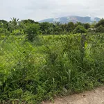 Bán đất Xuân Thọ 220m² full thổ 580 triệu - Ảnh thu nhỏ 1