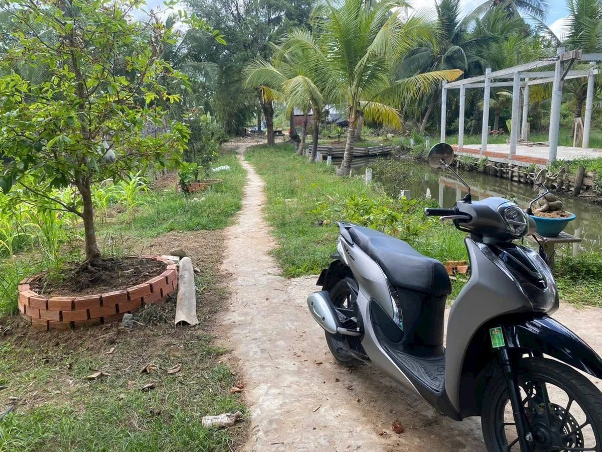 Bán đất 532m² Mỏ Cày, Bình Chánh, 900 triệu - Ảnh 1