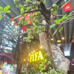 Bán nhà 2 tầng 183,7m² đường 10m Đà Nẵng 13,5 tỷ - Ảnh thu nhỏ 4