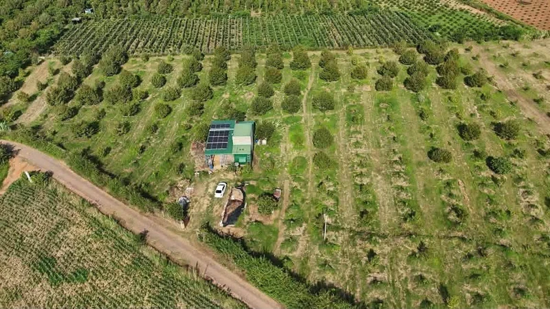 Bán rẫy sầu riêng 2,3 ha có nhà tại xã Ea Phê, Đắk Lắk, giá 5,75 tỷ
